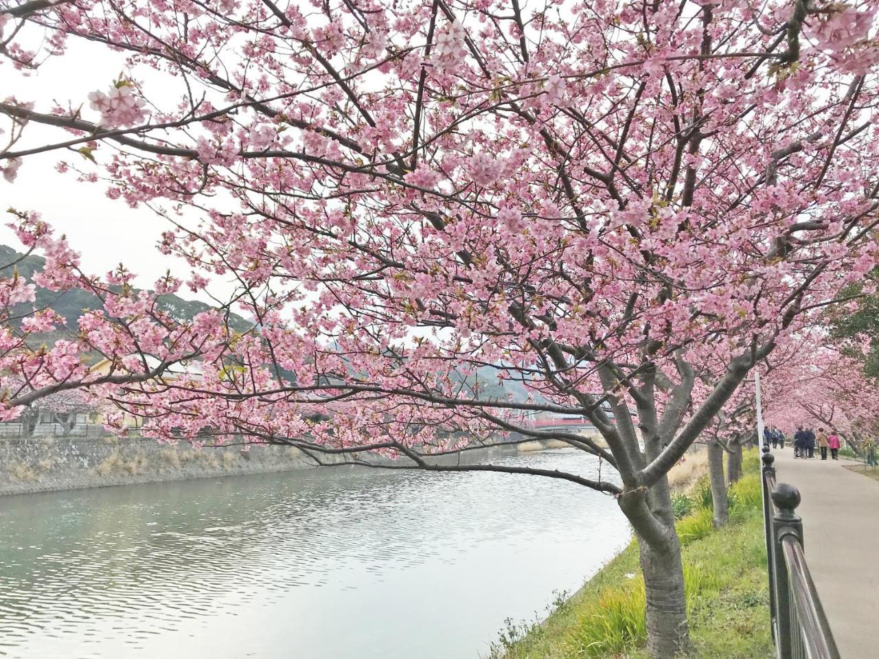 ペンション百万本のバラ "A Million Roses" Hotel Shimoda  Bagian luar foto